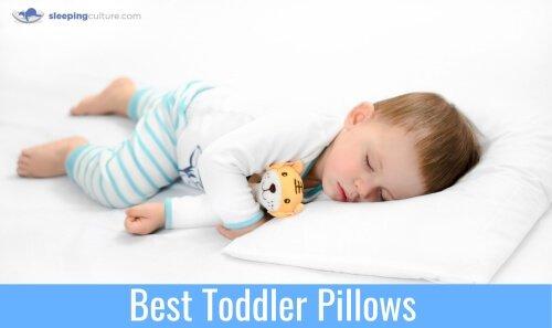 Best Toddler Pillows 2020 - Reviews 