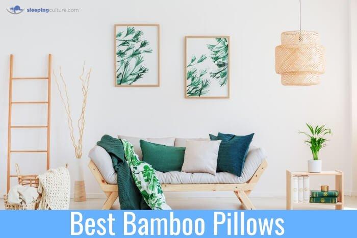 Can You Wash Bamboo Pillows In The Washing Machine Can You Wash A Bamboo Pillow Bamboo Pillow